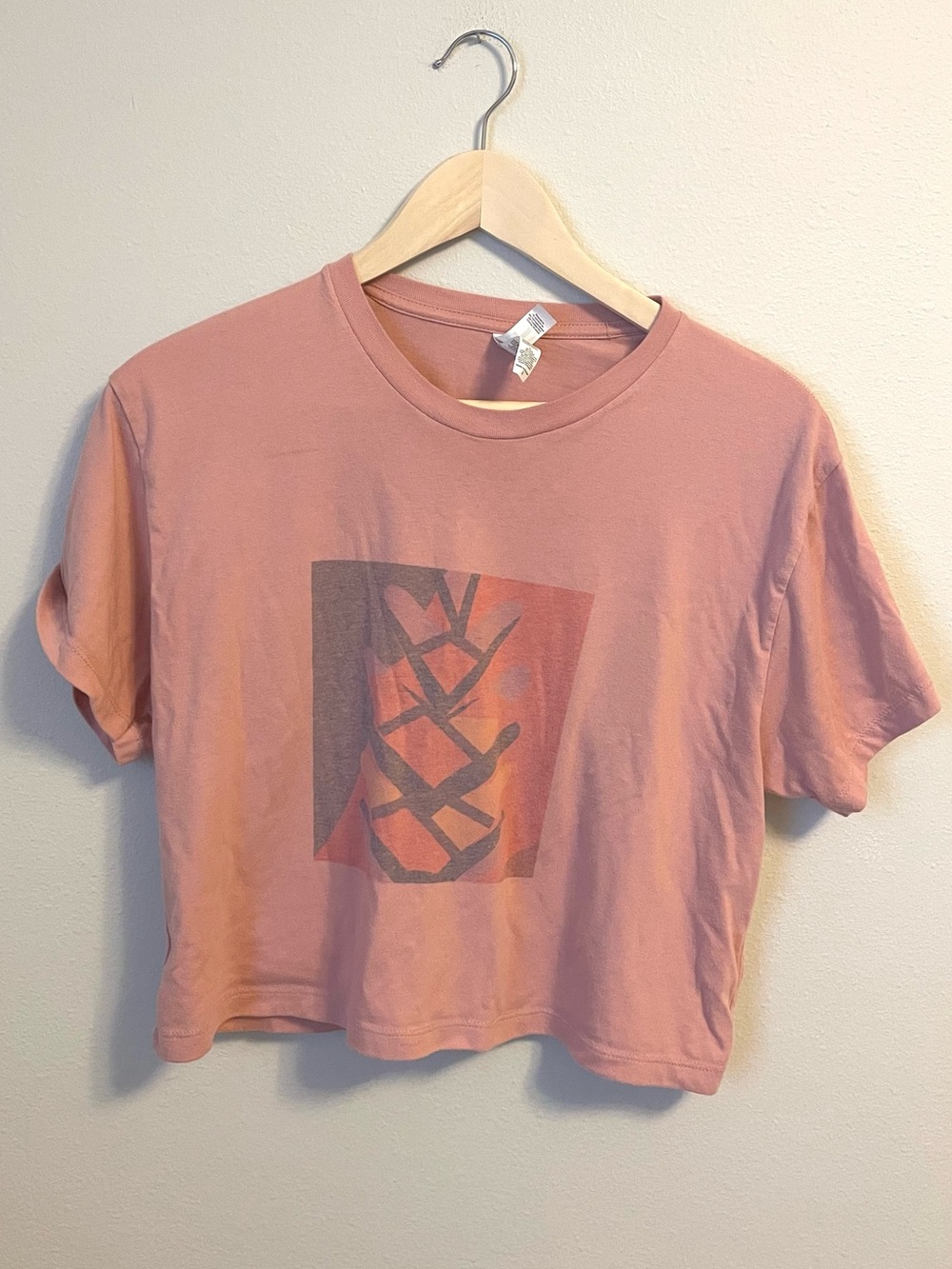 Next Level Apparel Dusty Rose Cropped Graphic Tee - Minimal Soft Girl - Size L